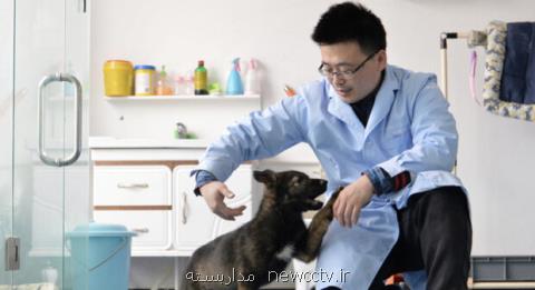 سگ پلیس در چین شبیه سازی شد
